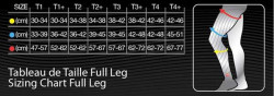 Compressport Nogawki kompresyjne FULL LEGS